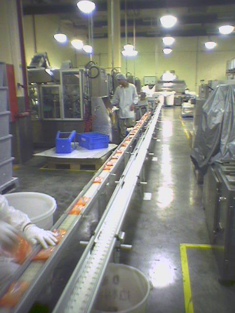 淺談板鏈輸送機(jī)傳送鏈條故障的原因及維護(hù) 淺談板鏈輸送機(jī)傳送鏈條故障的原因及維護(hù)